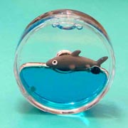 Magnet Liquid-Filled Round Shark